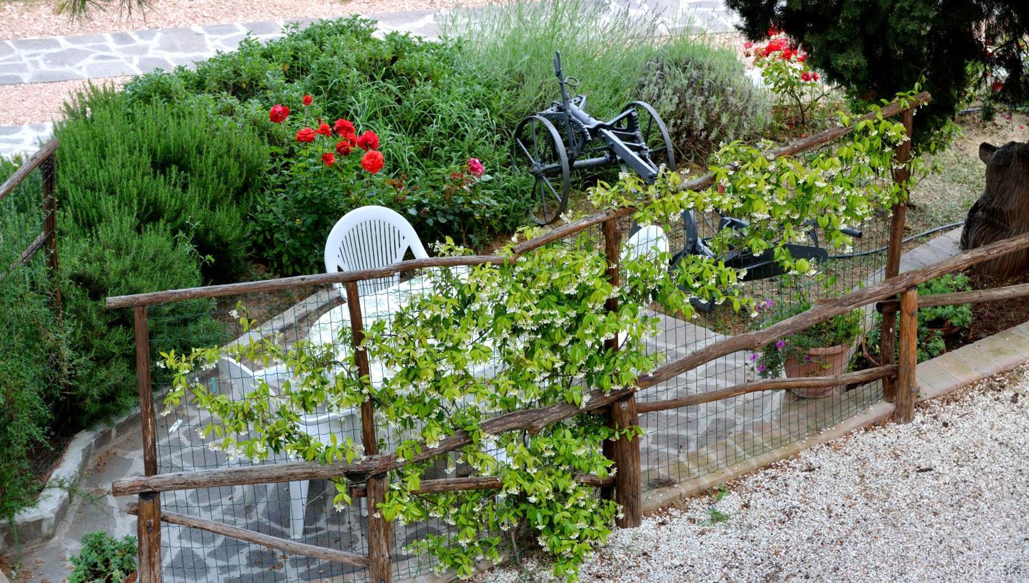 Agriturismo San Severo Passignano sul Trasimeno Oda fotoğraf