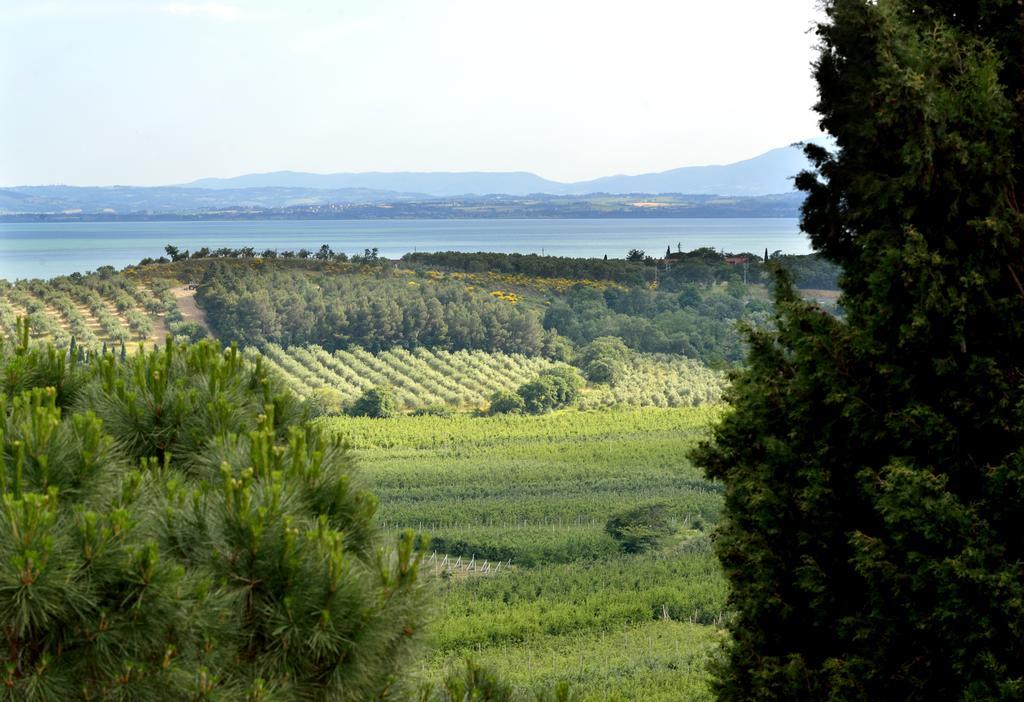 Agriturismo San Severo Villa Passignano sul Trasimeno Dış mekan fotoğraf