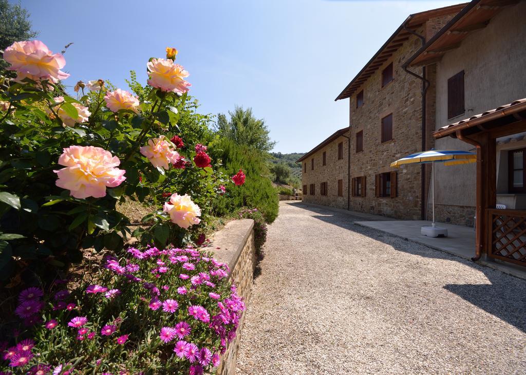 Agriturismo San Severo Passignano sul Trasimeno Dış mekan fotoğraf